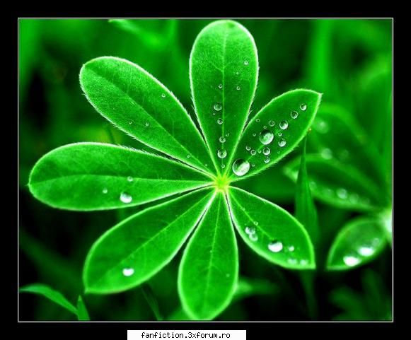 Nota pentru poza - ╚�εїзღ�ηđяε�㤫╝ - Have Fun!