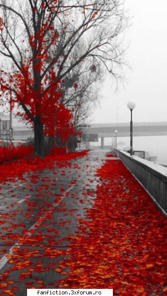 Nota pentru poza - ✿ fσℓℓσω уσυя ∂яєαмѕ! ✿ - Have Fun!