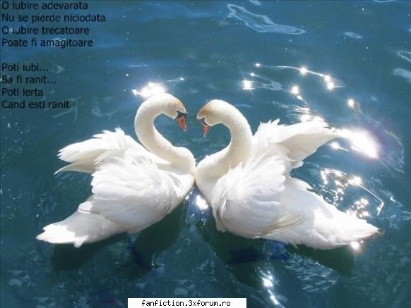 Nota pentru poza - 7 Modificata by my - Have Fun!