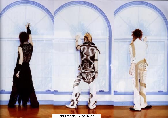 The Gazette - Ce spate are Reita - Formatii.